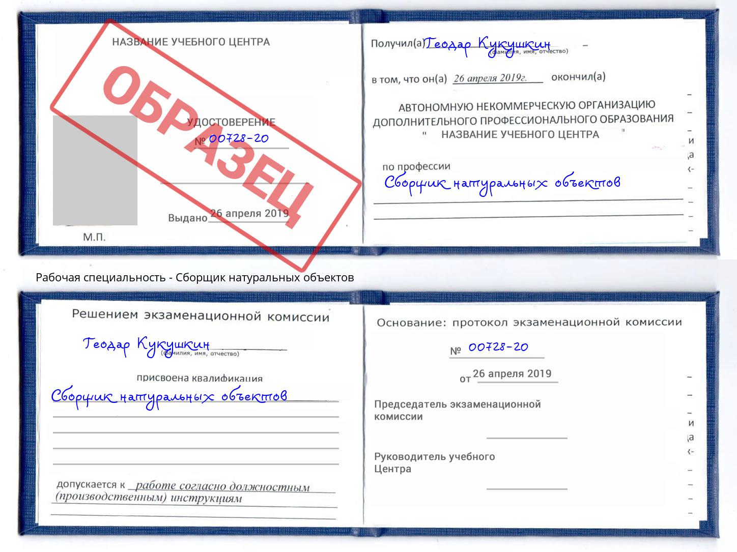 Сборщик натуральных объектов Евпатория