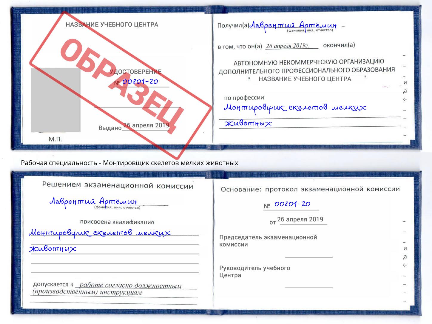 Монтировщик скелетов мелких животных Евпатория