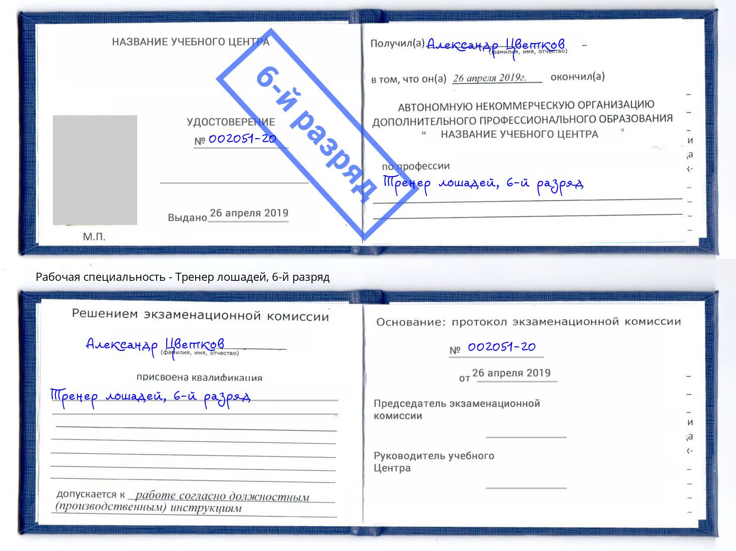 корочка 6-й разряд Тренер лошадей Евпатория