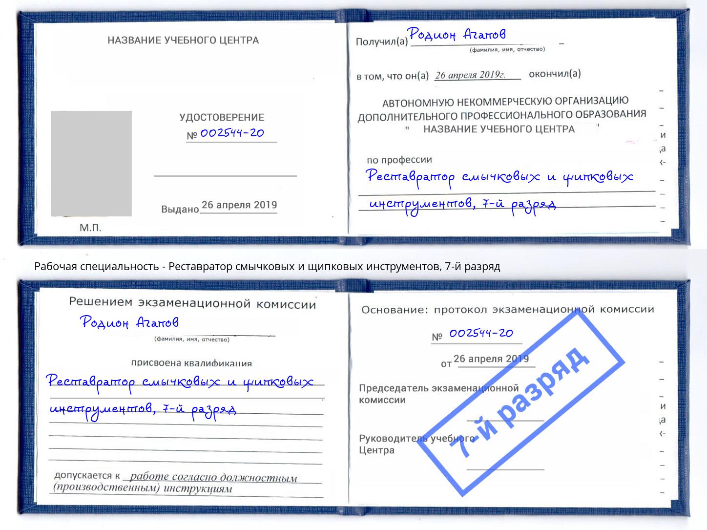 корочка 7-й разряд Реставратор смычковых и щипковых инструментов Евпатория