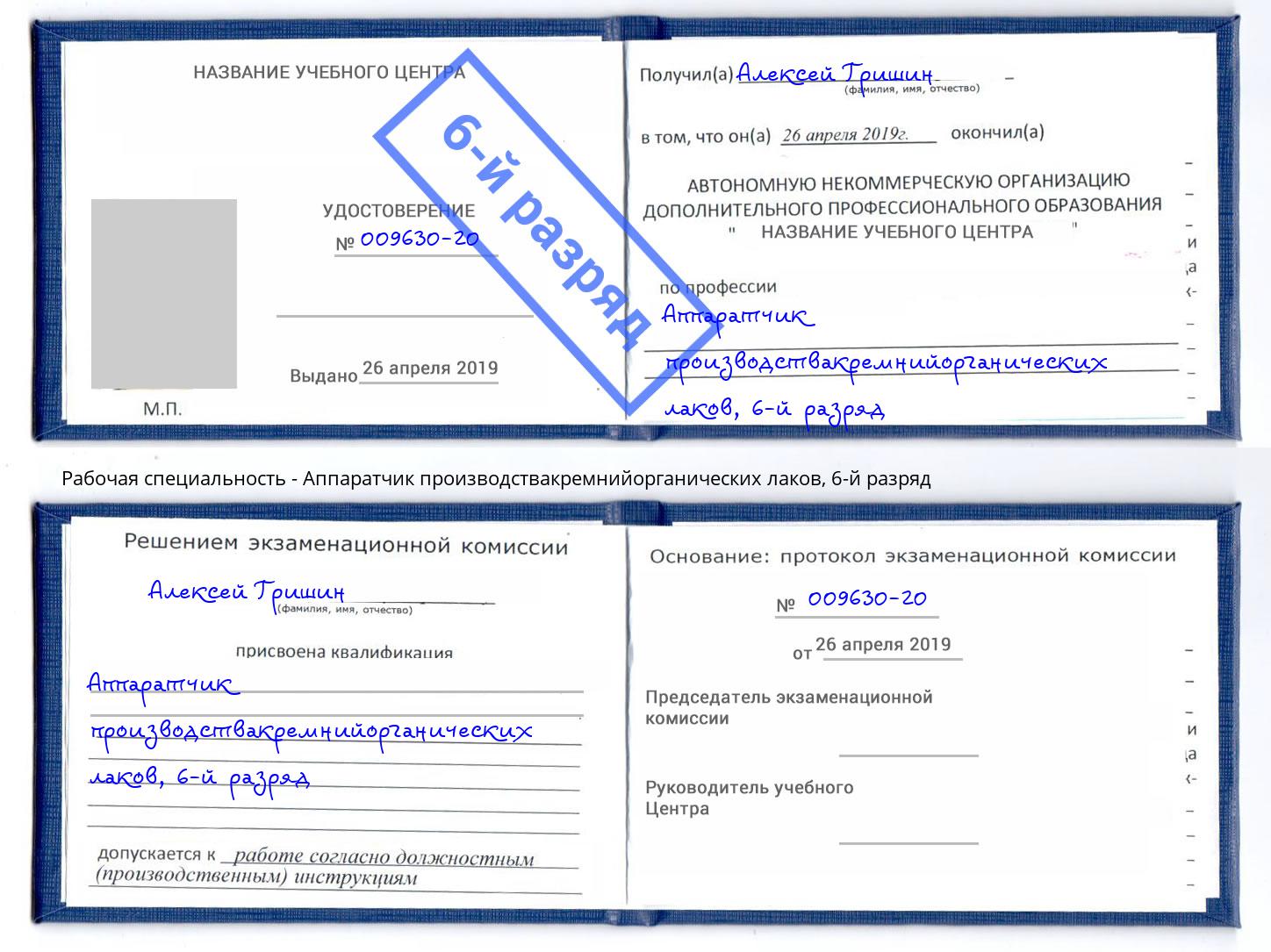 корочка 6-й разряд Аппаратчик производствакремнийорганических лаков Евпатория