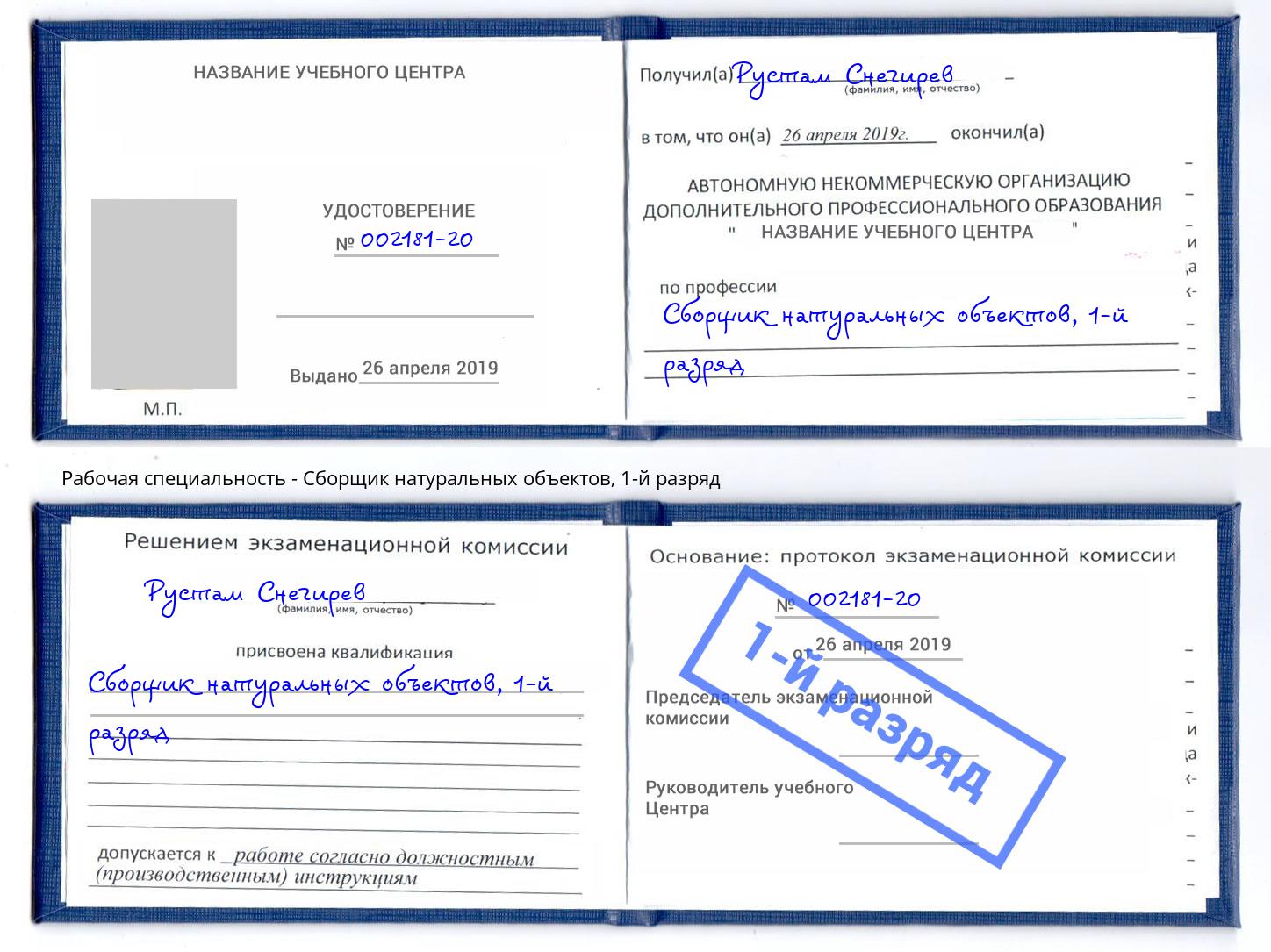 корочка 1-й разряд Сборщик натуральных объектов Евпатория